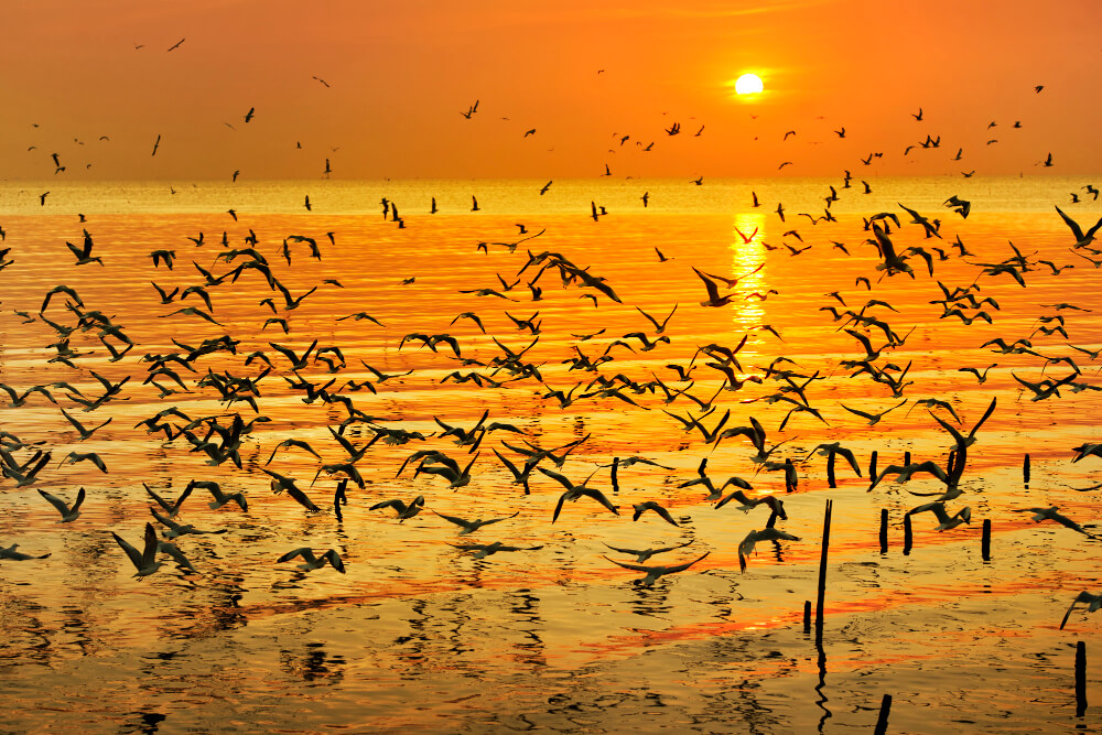 Photography Spots at Lake Manyara