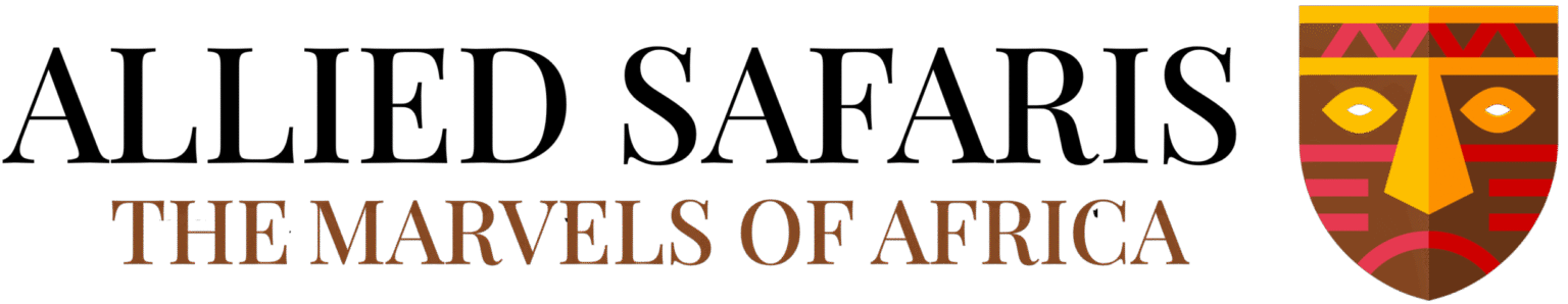 Allied Safaris